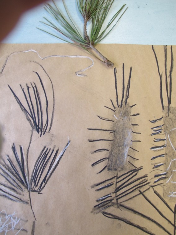 Classe de CP, Montfort-sur-Meu