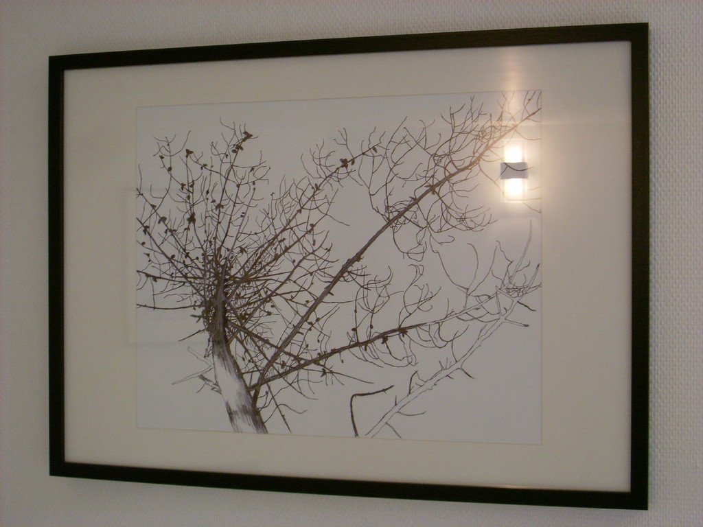 Pascal Mirande, 2010