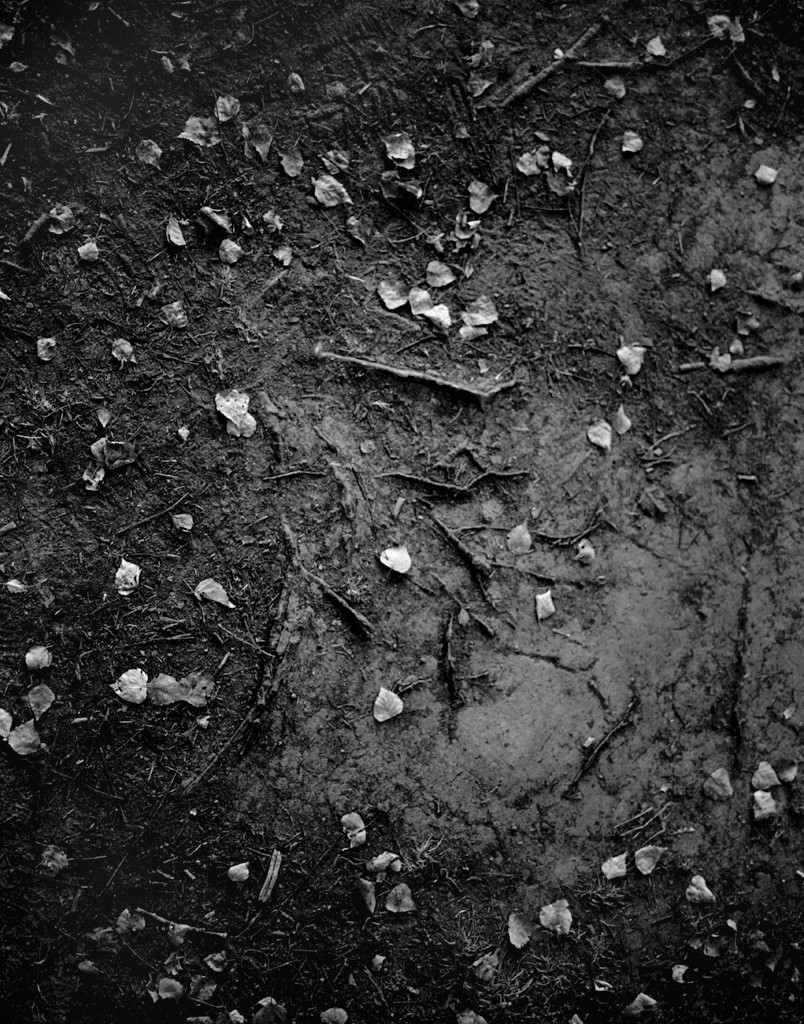 Israel Ariño, Terra Incognita, 2012.