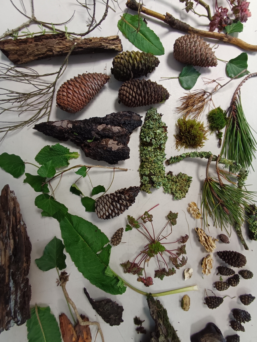 Rencontre avec Carlos Bernal Barrera