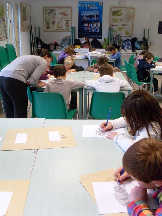 Jour 1 : Atelier contour et mise au carreau d'un arbre