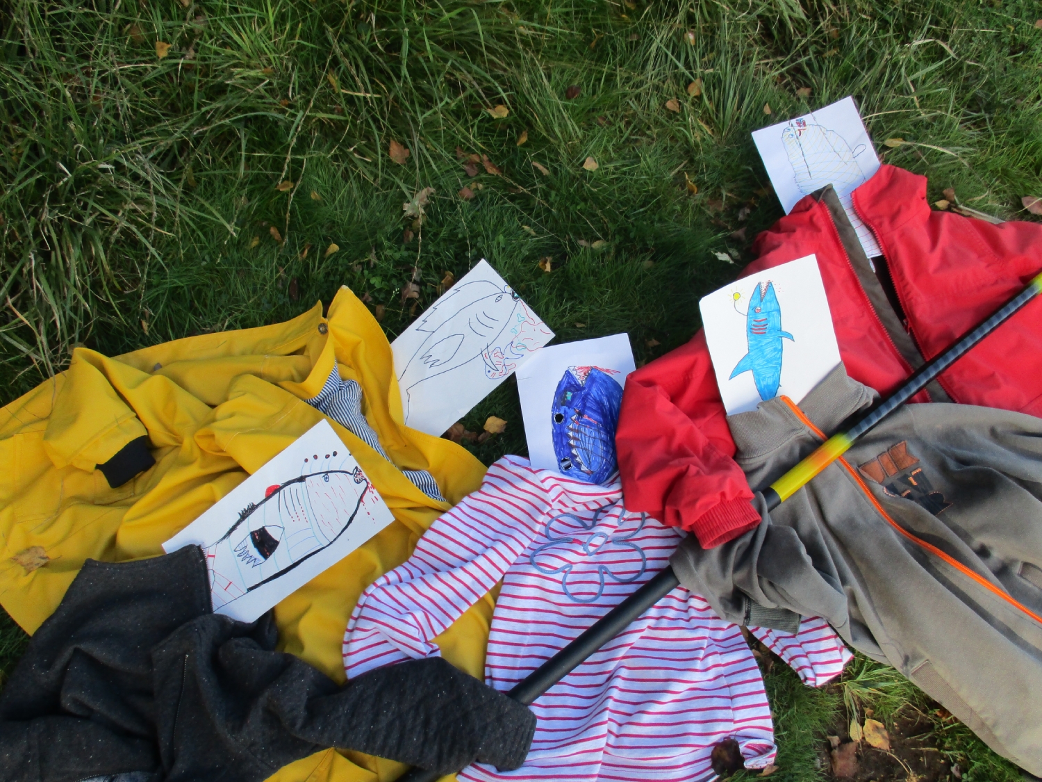 Projet photo : Poisson pêcheur - CM1-CM2 école publique les trois rivières de Breteil