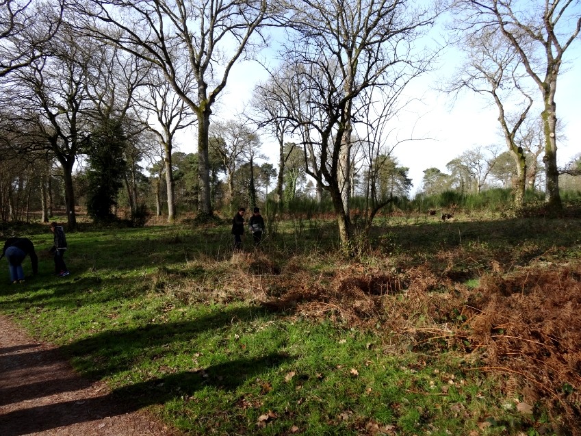 Classe de CE2-CM1 école élémentaire publique du Moulin à Vent, Montfort-sur-Meu