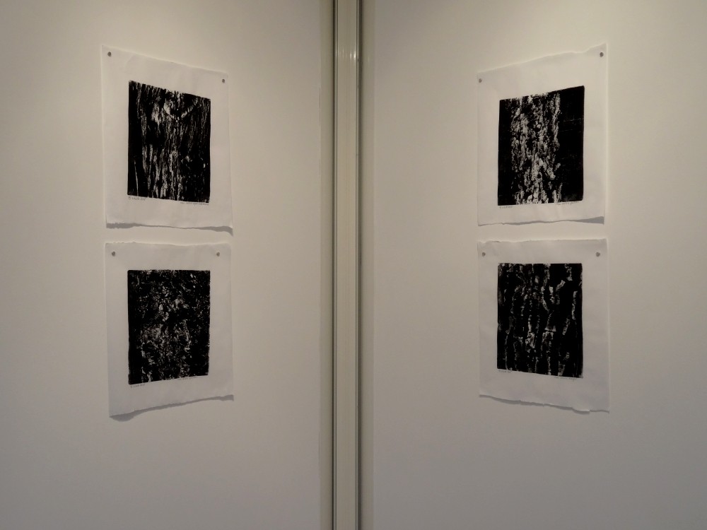 Vue de l'exposition Cécile White, Empreinte carbone. "Radiographies de mes voisins", 4 monotypes acryliques sur papier de lune, 46x53 cm pièce, 2015.