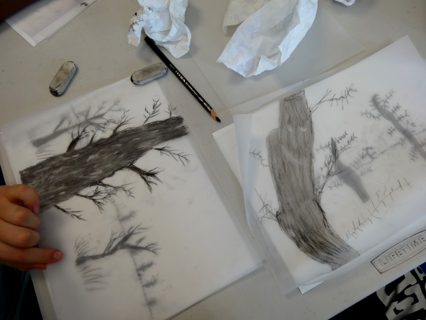 Classe de CM2 de l'école élémentaire publique la Fée Viviane, Iffendic