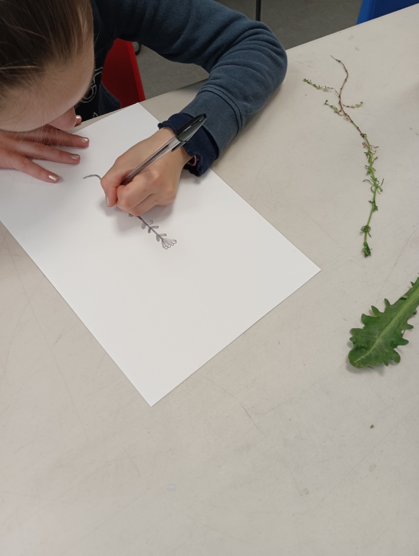 Rencontre avec Carlos Bernal Barrera