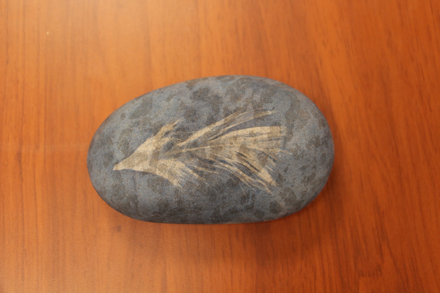 Atelier photo avec Mael Le Golvan