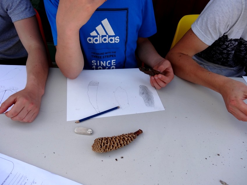 Dessin d'observation à partir des éléments végétaux et minéraux récoltés dans la nature