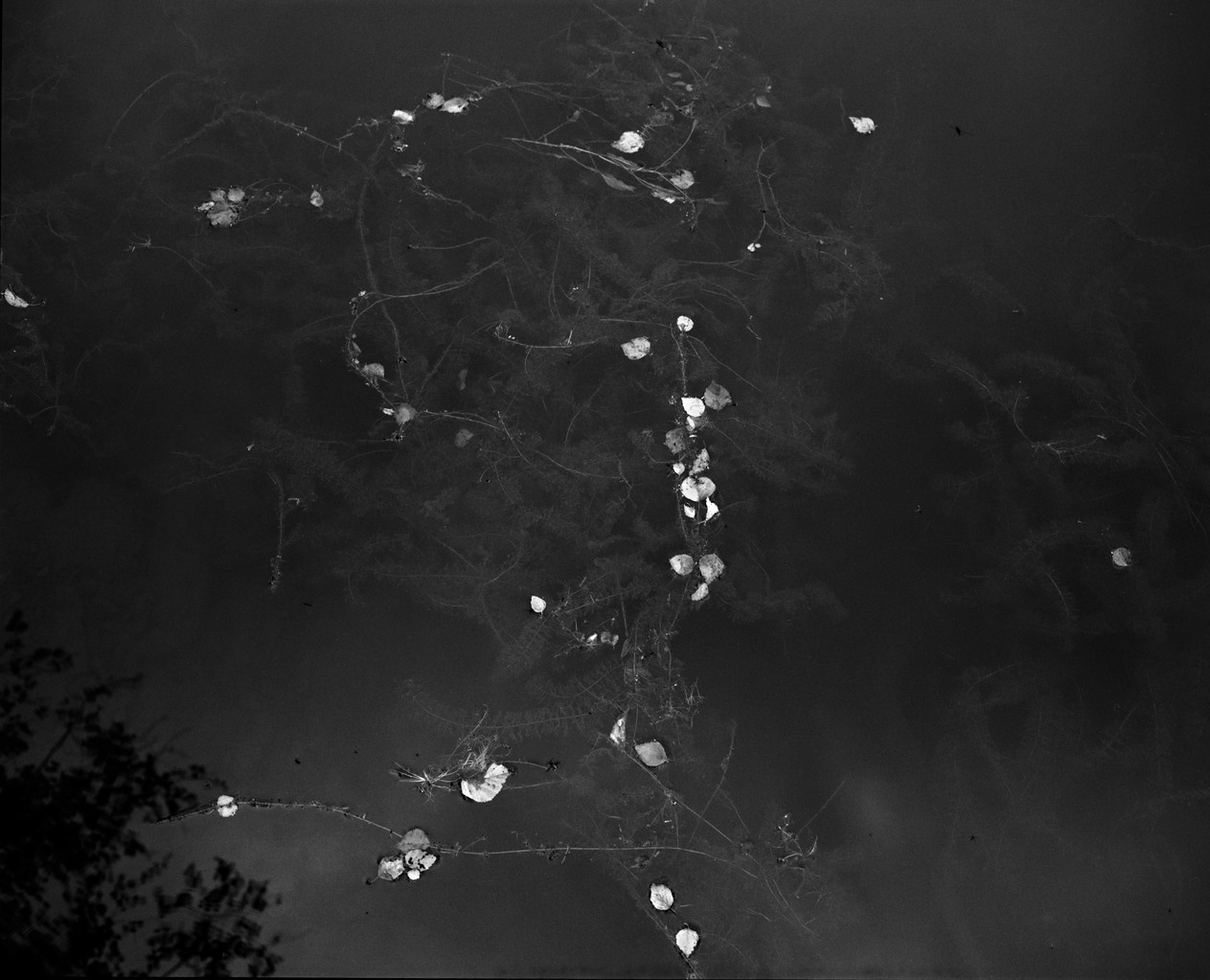 Israel Ariño, Terra Incognita, 2012.