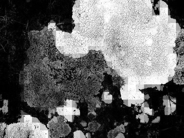 Philippe Lerestif, Paysages (détail), 2014.