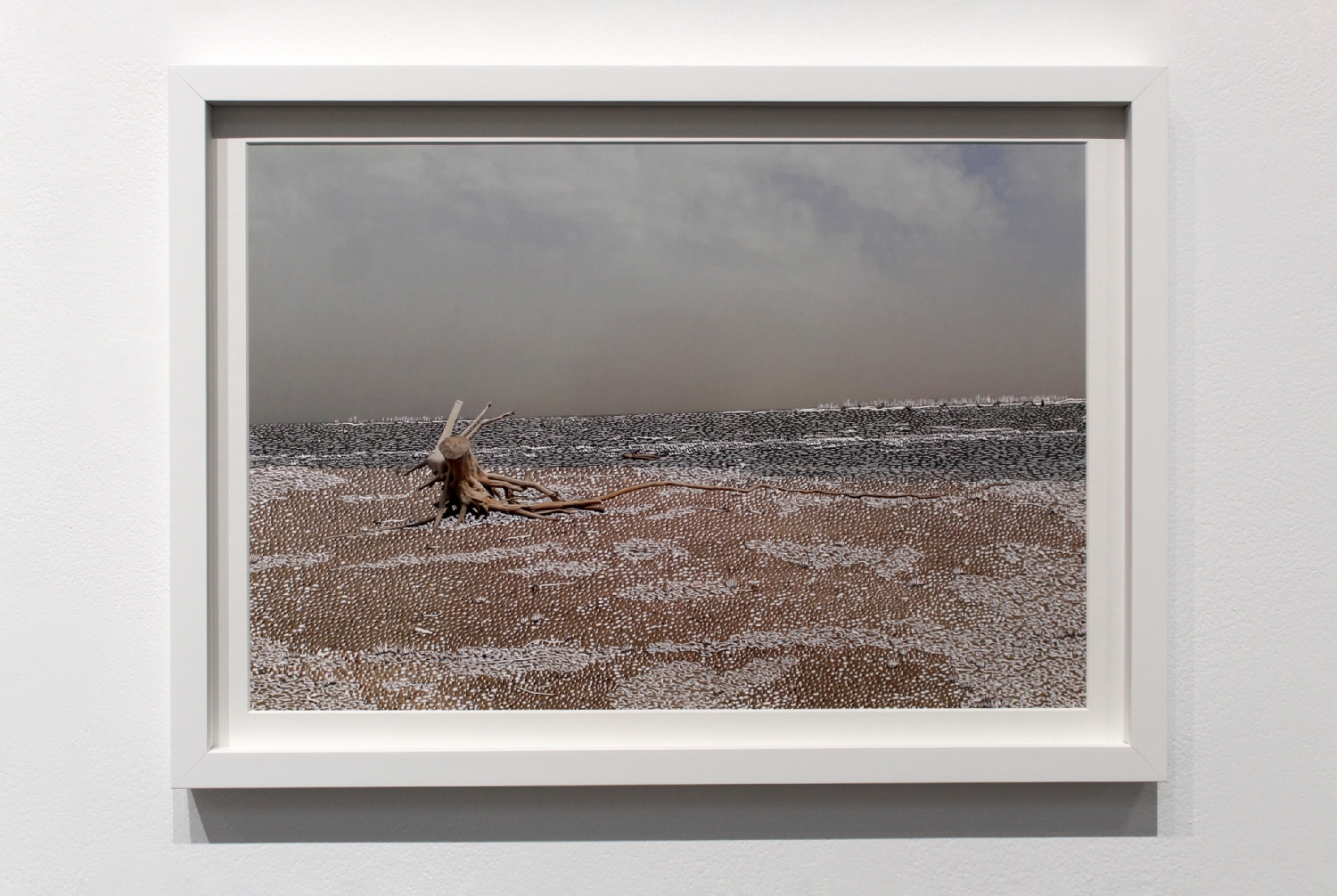 Raphaëlle Peria, Quand les eaux se retirent #1, grattage sur photographie, 30 x 45 cm, 2020