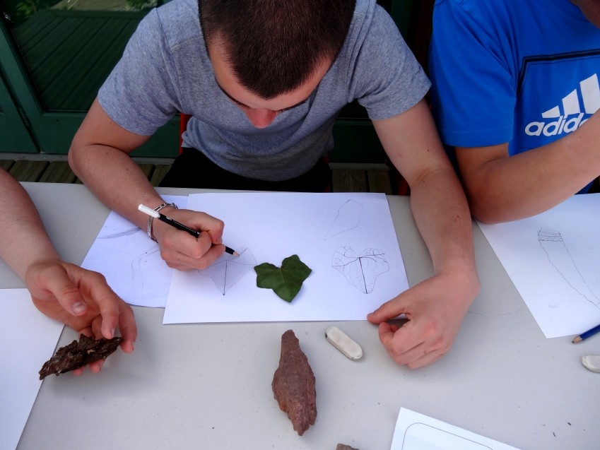 Dessin d'observation à partir des éléments végétaux et minéraux récoltés dans la nature