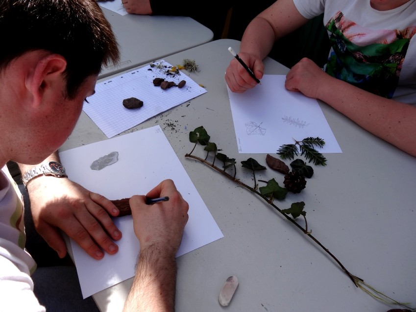 Dessin d'observation à partir des éléments végétaux et minéraux récoltés dans la nature