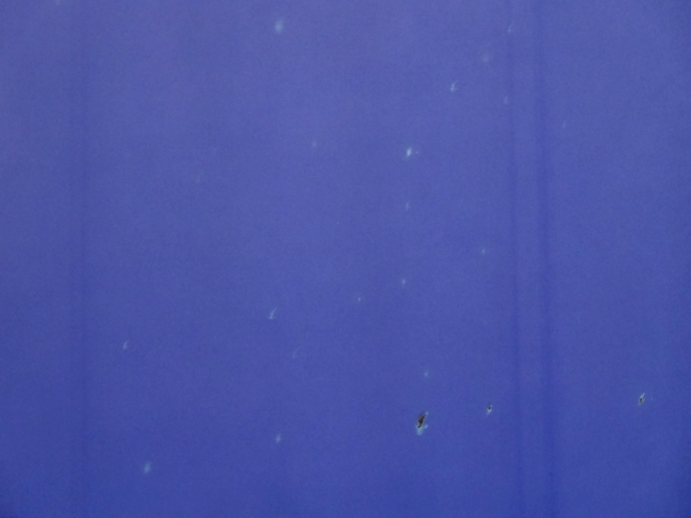 Nikolas Fouré, Constellation Microscope (détail), 2016. Insolation sur papier Popset Virgin Pulp Infra Violet 170 g. 90 x 67 cm. Sous verre. Photo : L'aparté