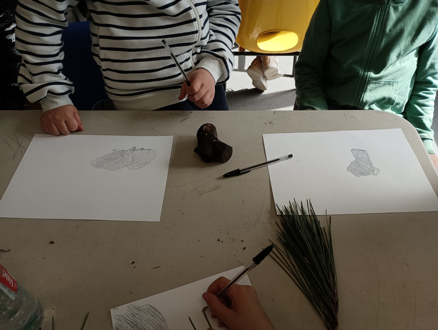 Rencontre avec Carlos Bernal Barrera