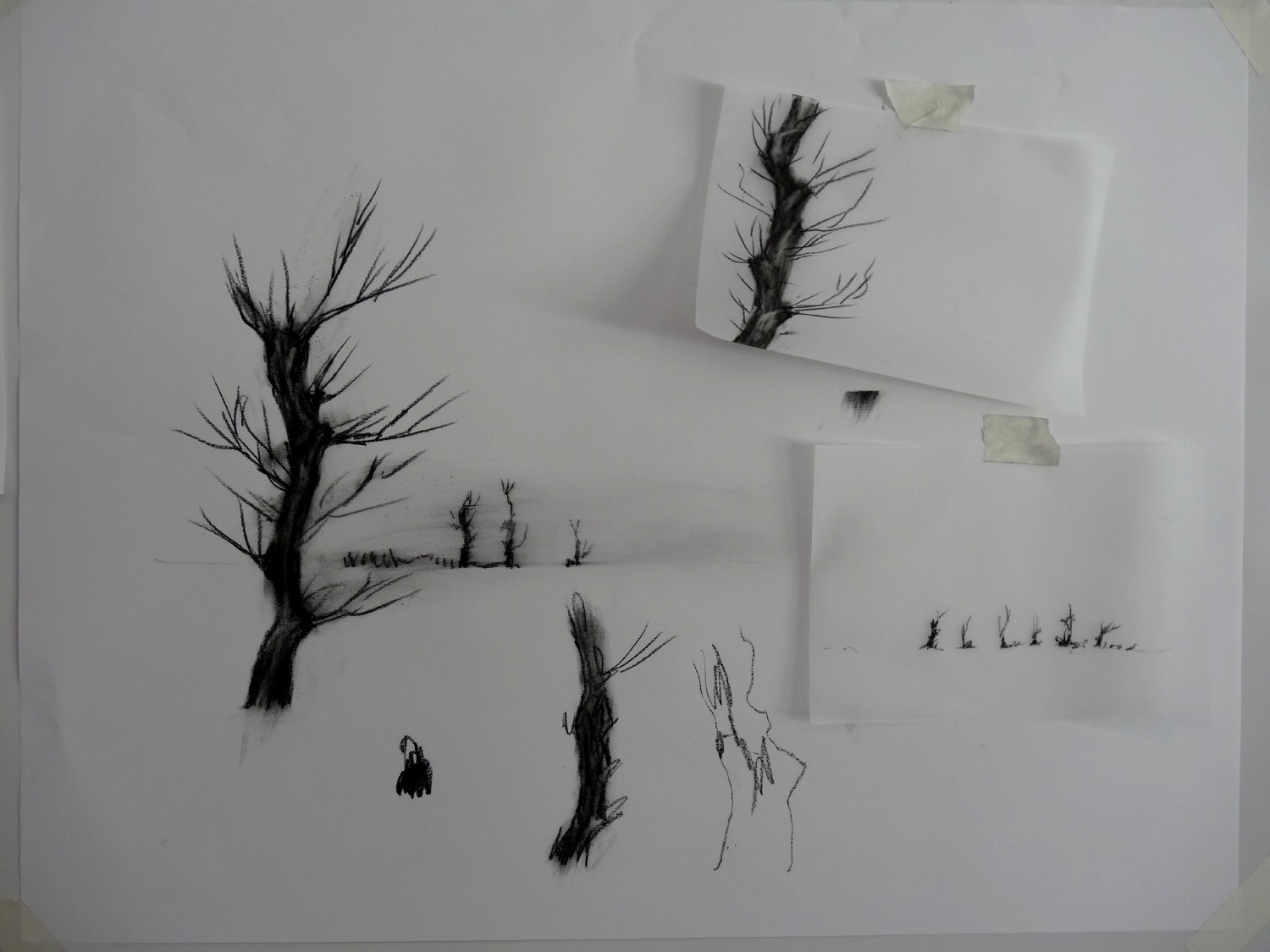 Classe de 4ème du collège Louis Guilloux, Montfort-sur-Meu