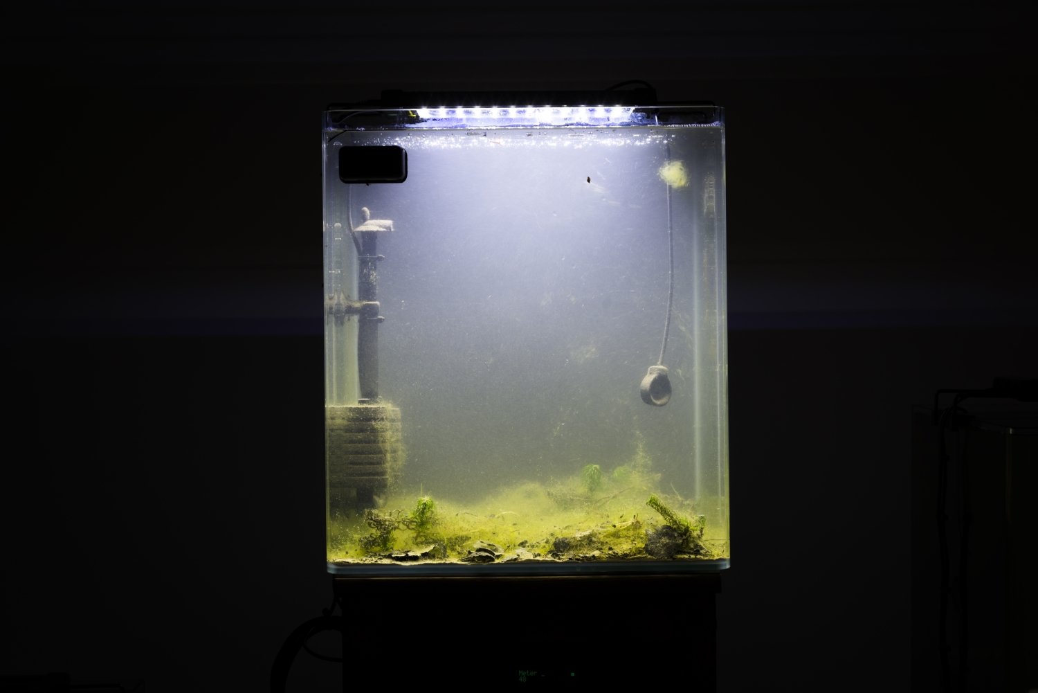 Vue de l'exposition Paul Duncombe, Microcosmes, 2017. Photo : Paul Duncombe