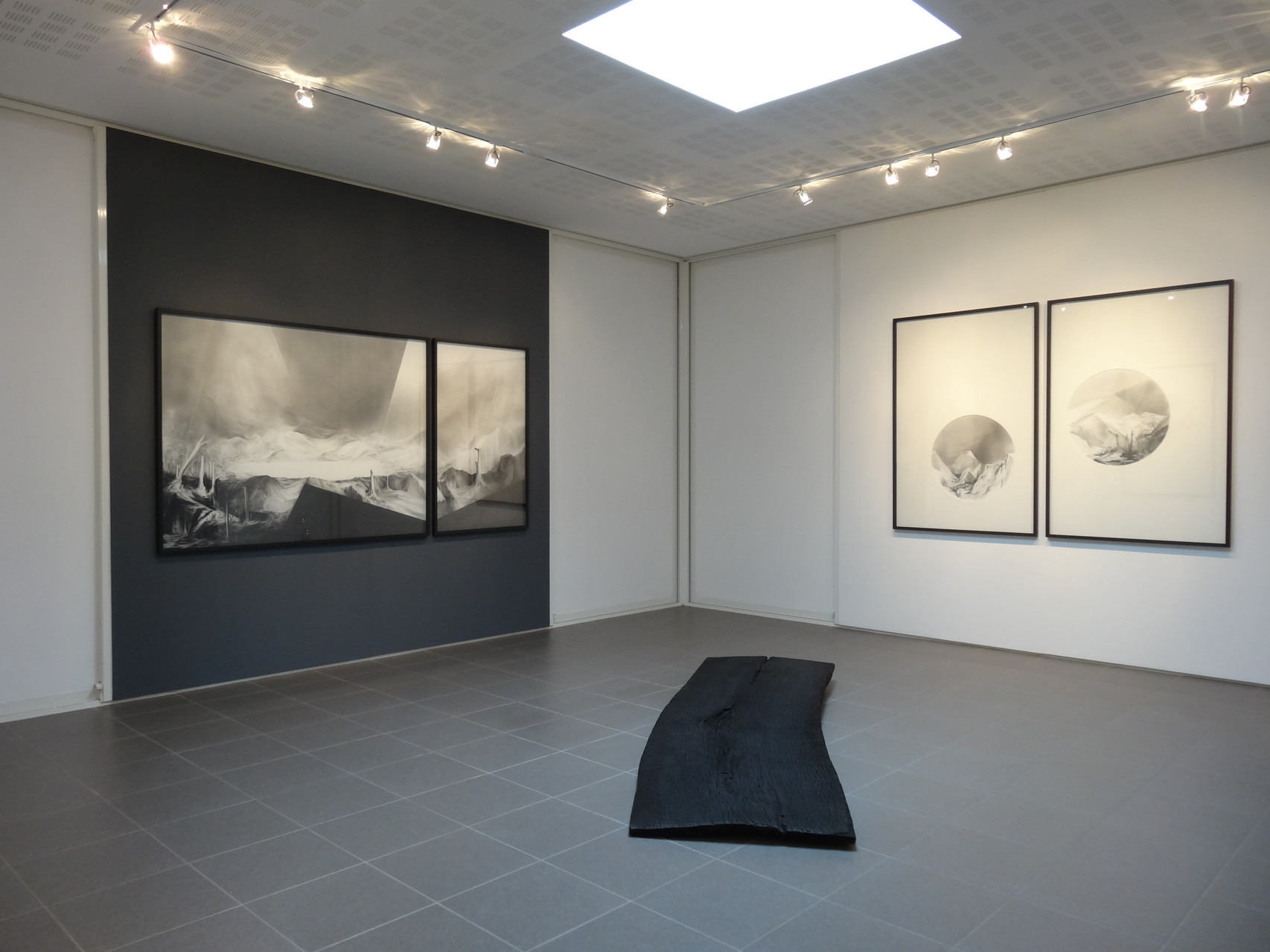 Vues de l'exposition Angélique Lecaille, After Dawn, 2014.