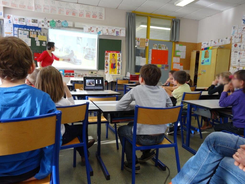 Rencontre avec Angélique Lecaille - classe de CP Les Trois rivières Breteil