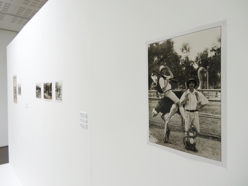 Vue de l'exposition, Allegorie Allegora, 2014. © L'aparté, lieu d'art contemporain.