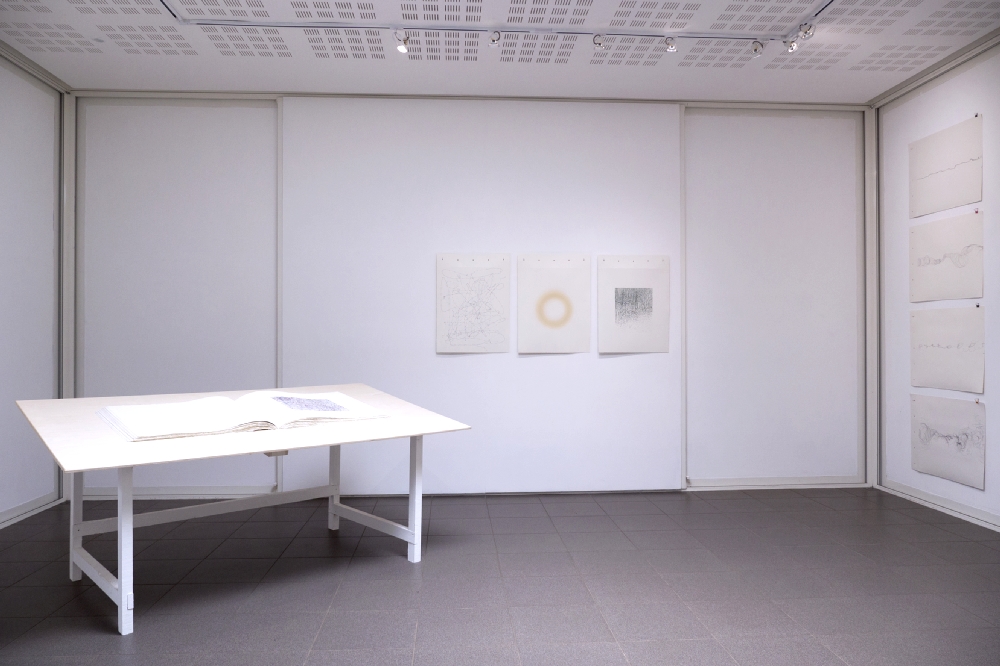 Vue de l'exposition "Franchir le Rubicon" de Pierre Galopin. Photo : JBL