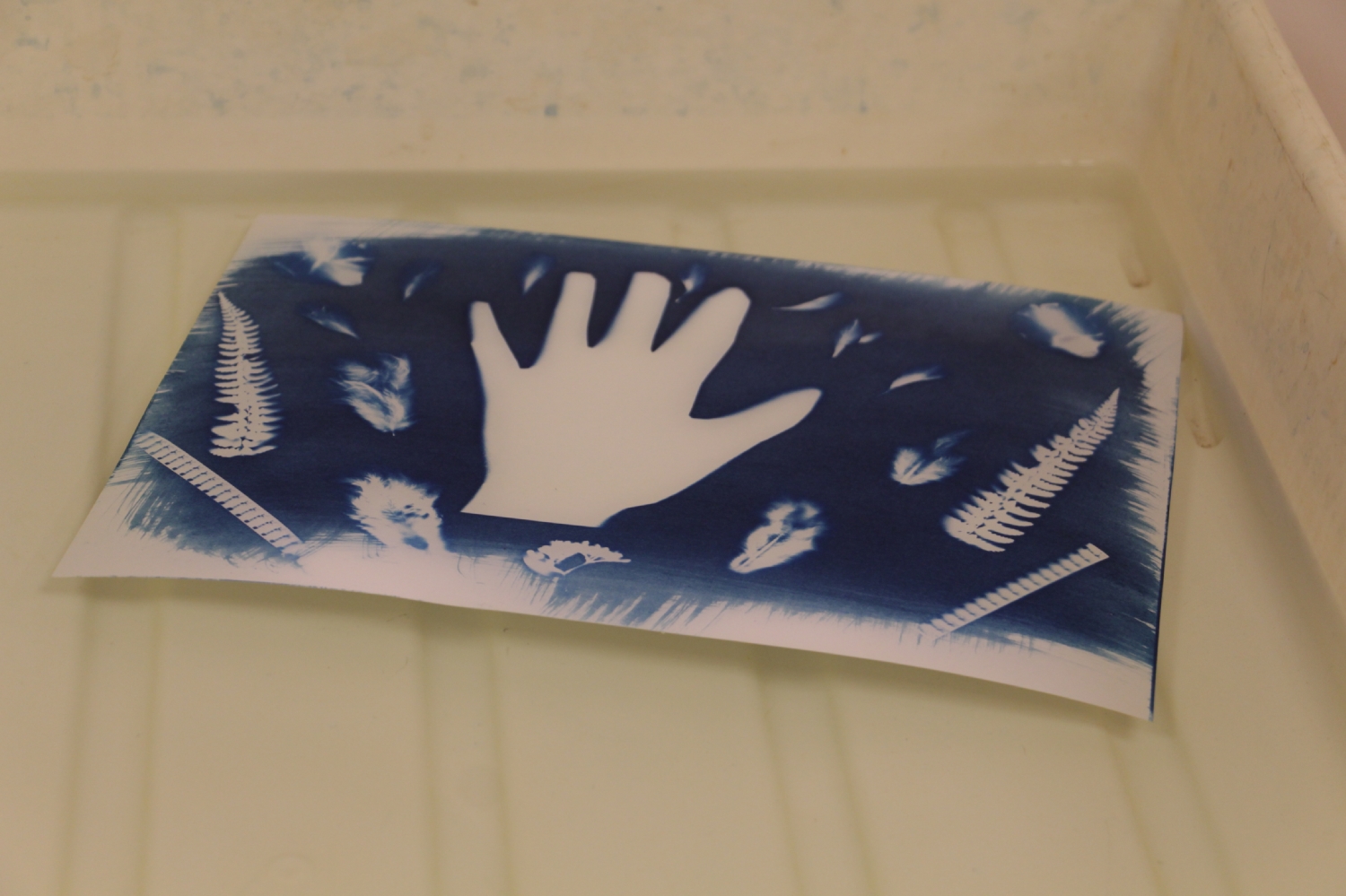 Atelier photo avec Mael Le Golvan