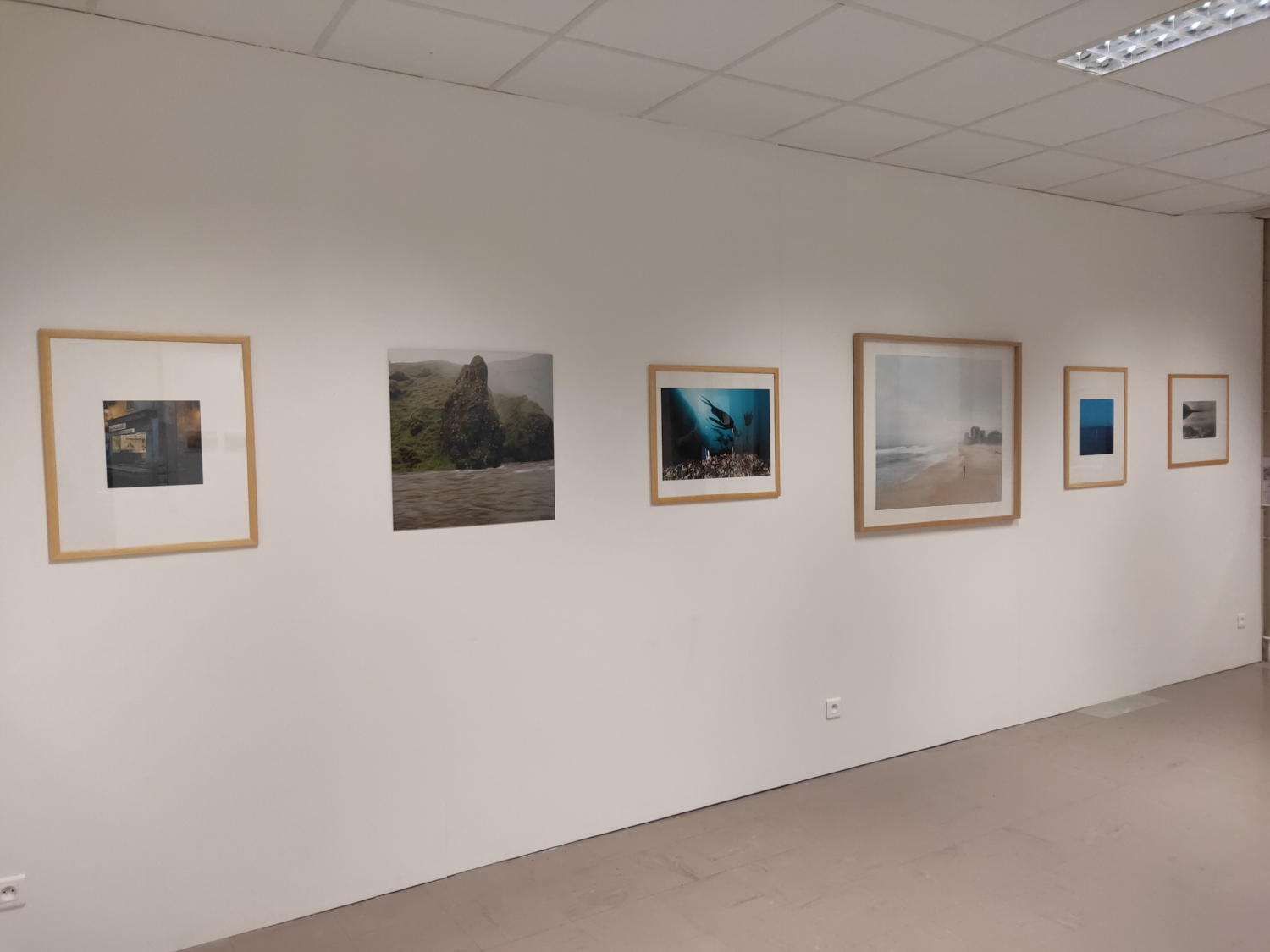 Vue de l'exposition Paysage