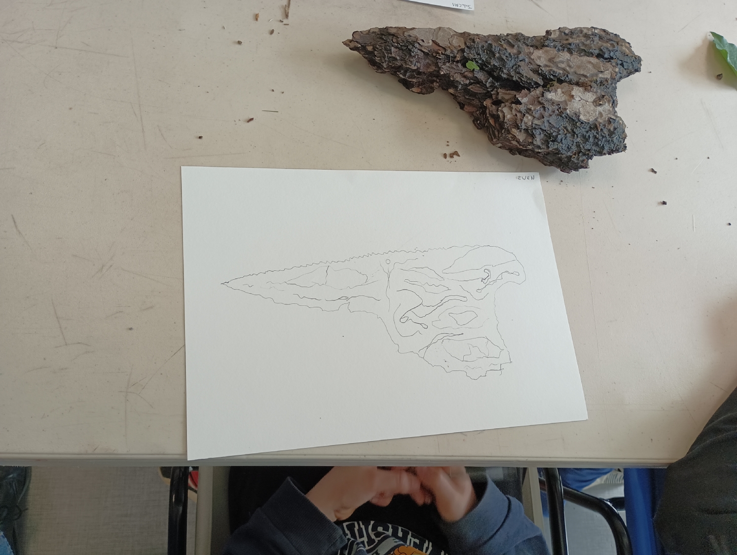 Rencontre avec Carlos Bernal Barrera