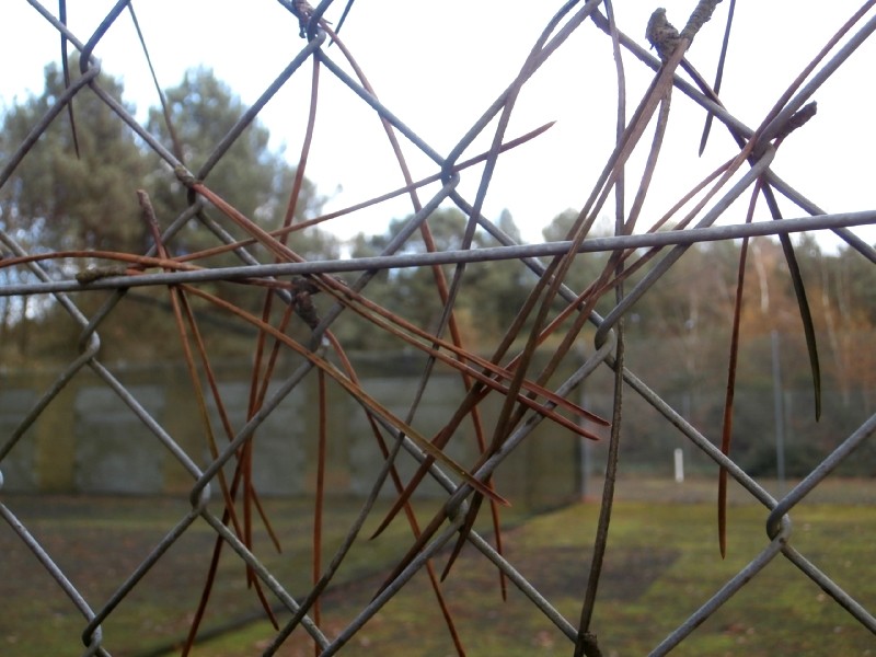 3ème Collège Louis Guilloux Montfort-sur-Meu - 09.11.15