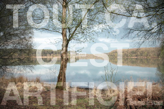 Les bras à terre, Lionel Pralus, 2012, série de photographies, 90 x 60