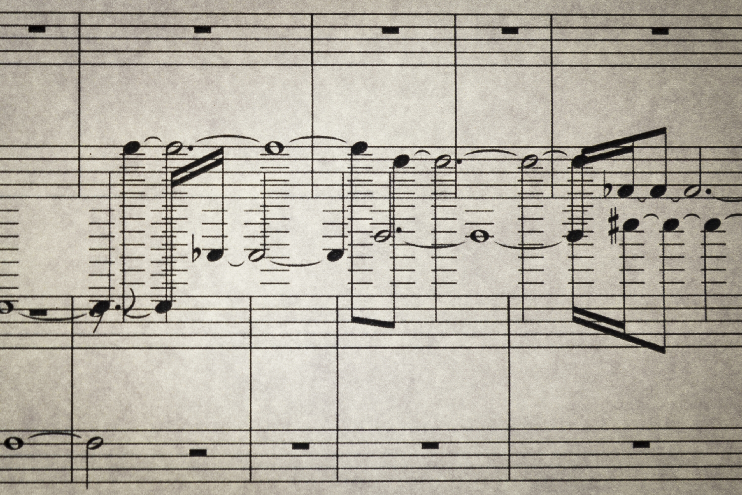 Vue de l'exposition Paul Duncombe, Microcosmes, 2017. Photo : Paul Duncombe