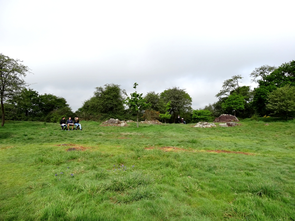 3ème MFR Montauban-de-Bretagne mai 2016