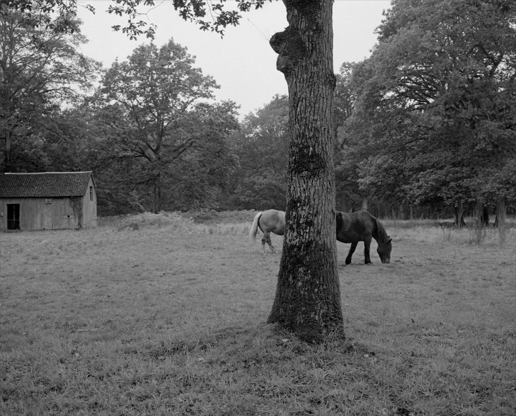 Israel Ariño, Terra Incognita, 2012.