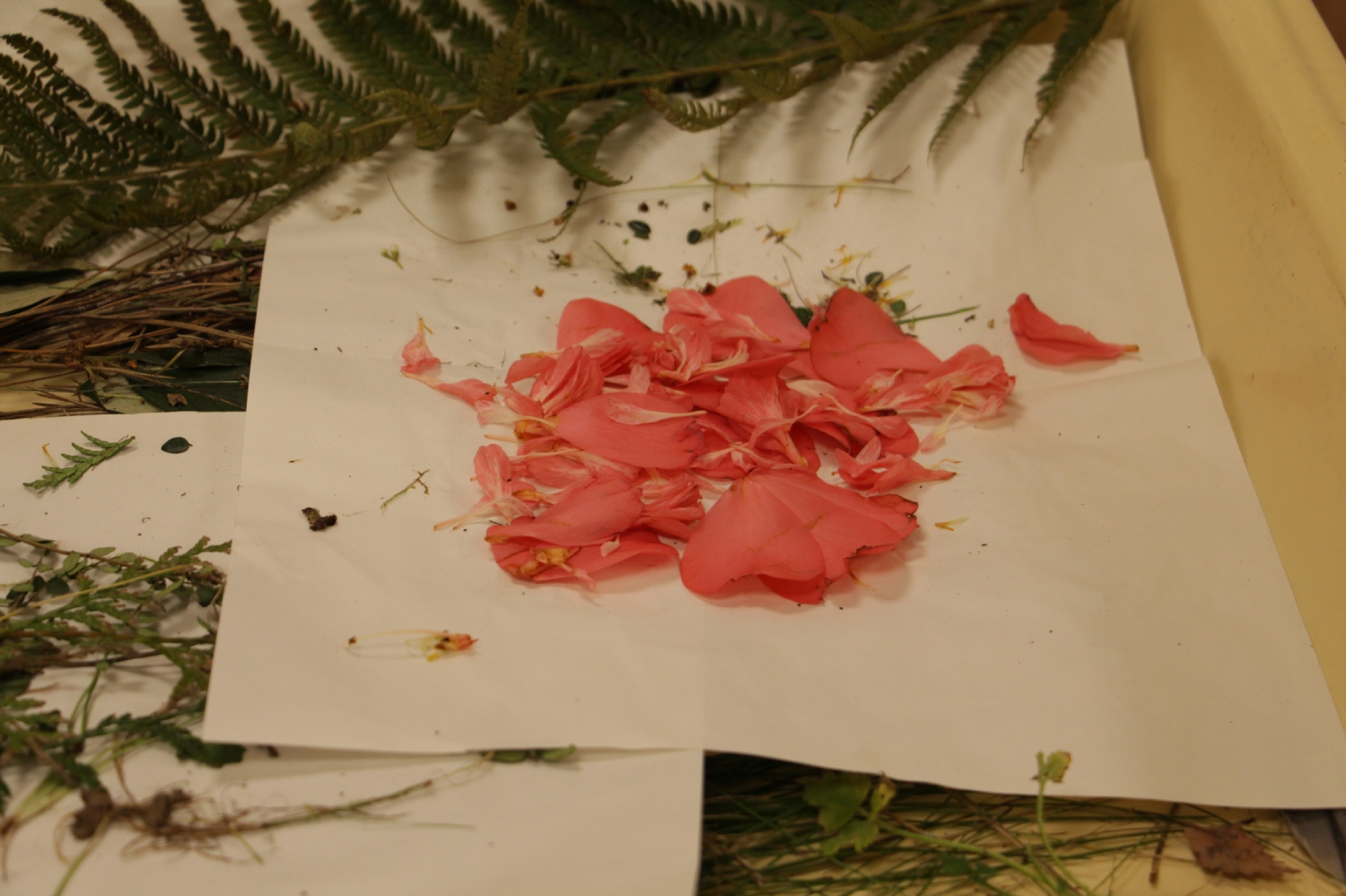 Atelier photo avec Mael Le Golvan