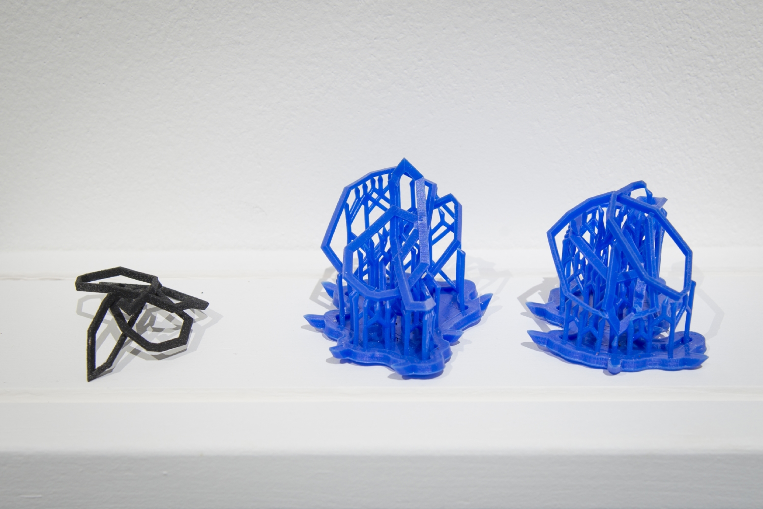 Vue de l'exposition Paul Duncombe, Microcosmes, 2017. Photo : Paul Duncombe