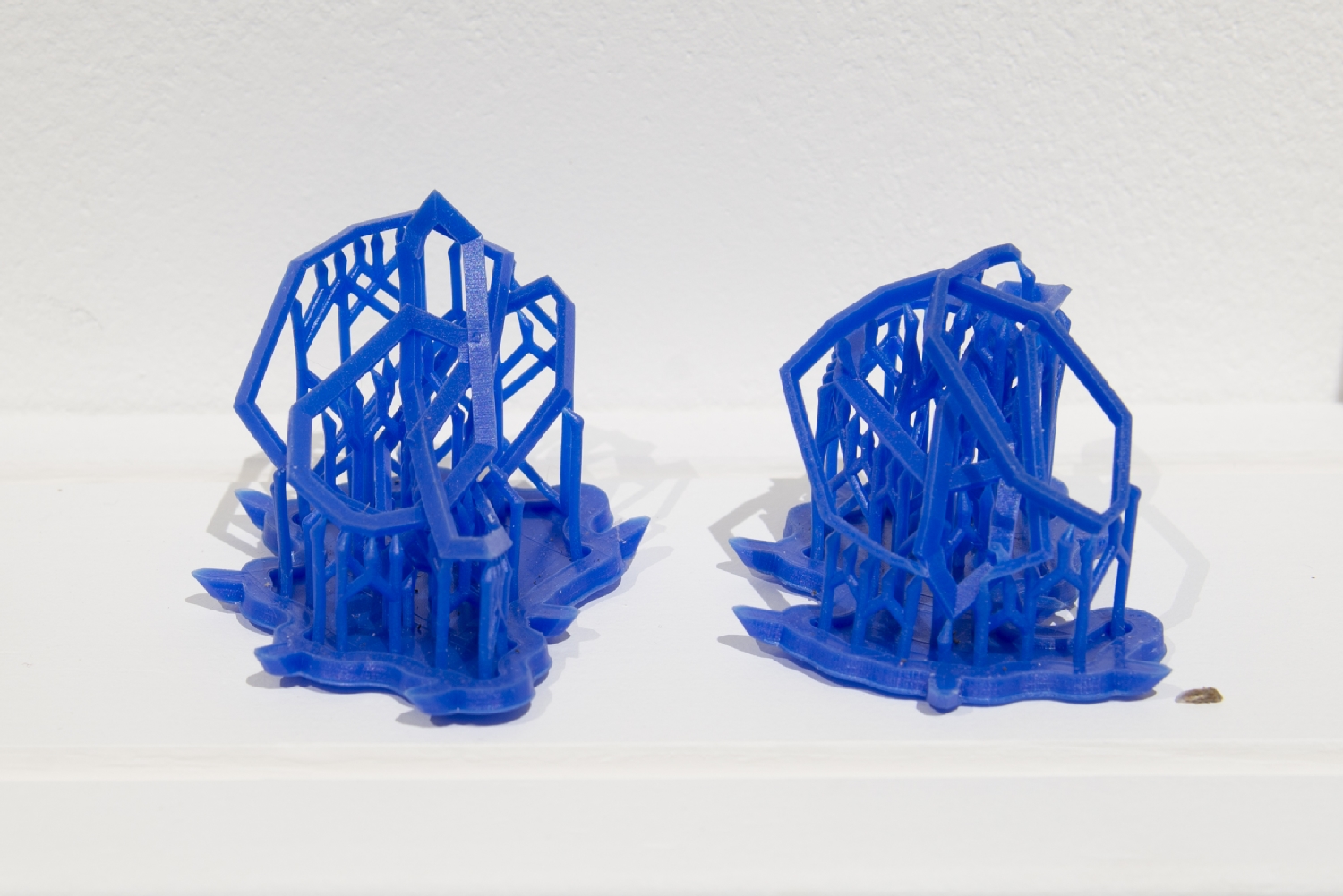 Vue de l'exposition Paul Duncombe, Microcosmes, 2017. Photo : Paul Duncombe