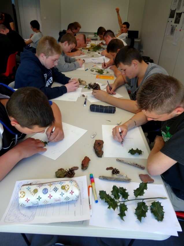 Dessin d'observation à partir des éléments végétaux et minéraux récoltés dans la nature