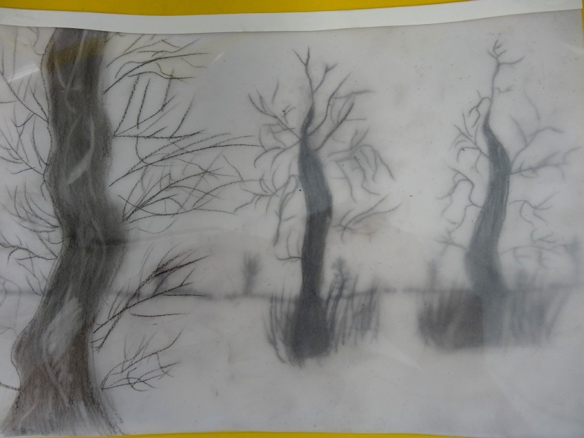 Classe de CM2 de l'école élémentaire publique la Fée Viviane, Iffendic