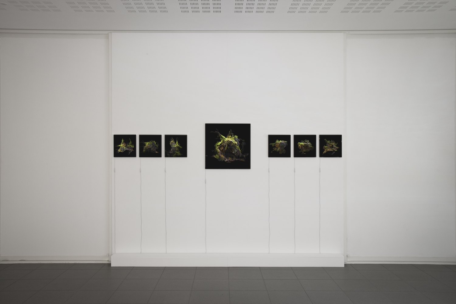 Vue de l'exposition Paul Duncombe, Microcosmes, 2017. Photo : Paul Duncombe