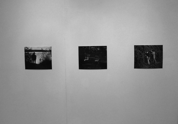 Vue de l'exposition Israel Ariño, Terra Incognita