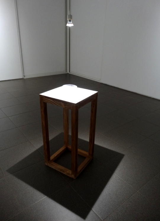 Carlos Bernal Barrera, Vers l'ombre, 2016, semi sphère plastique, 12 cm. Ø env., table en bois, 35 x 70 x 35 cm. env., ampoule suspendue au plafond, dimensions variables. 