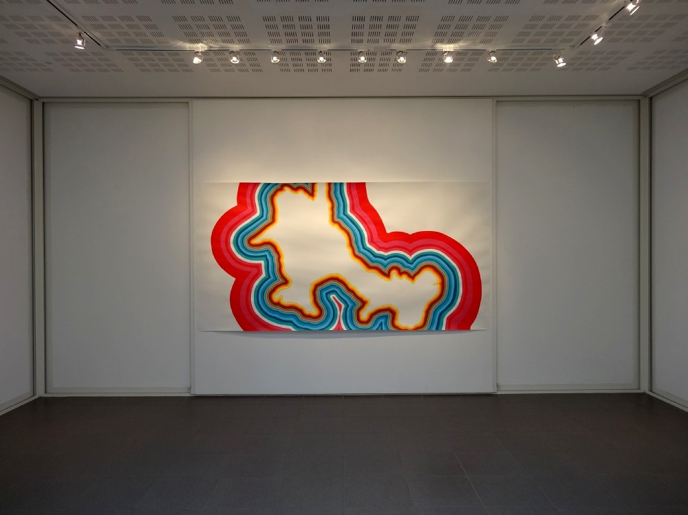 Vue de l'exposition Marine Bouilloud, Fragments d'aura. 