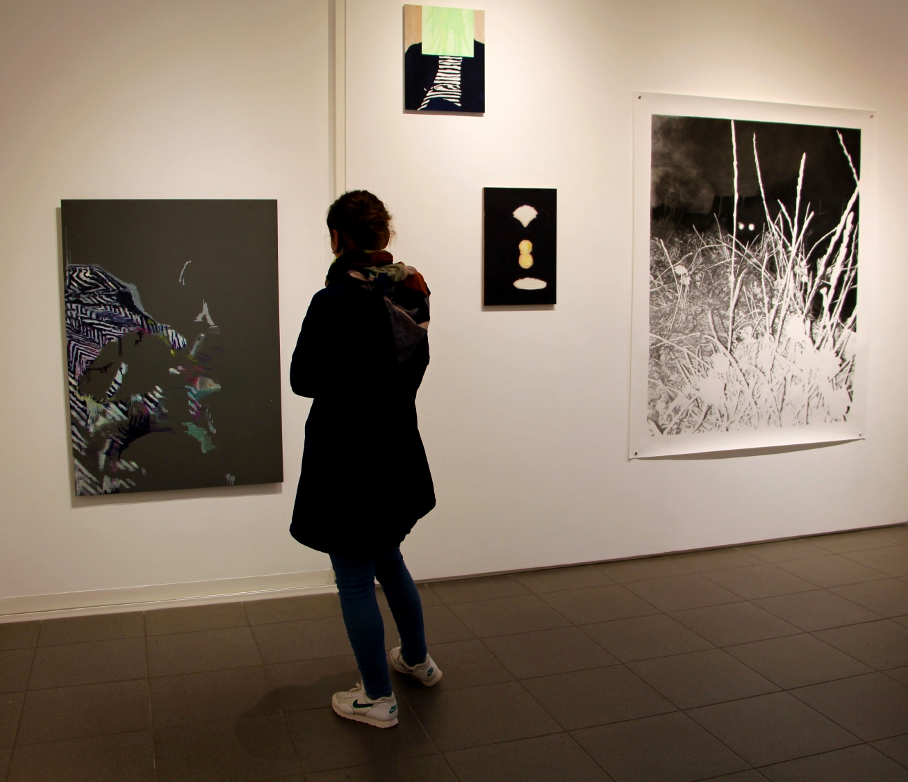 Vernissage de l'exposition Julie Bonnaud et Fabien Leplae, Plasmes