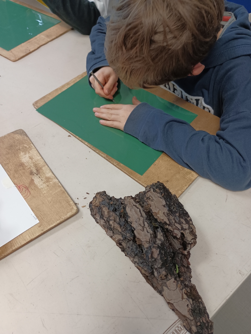 Rencontre avec Carlos Bernal Barrera