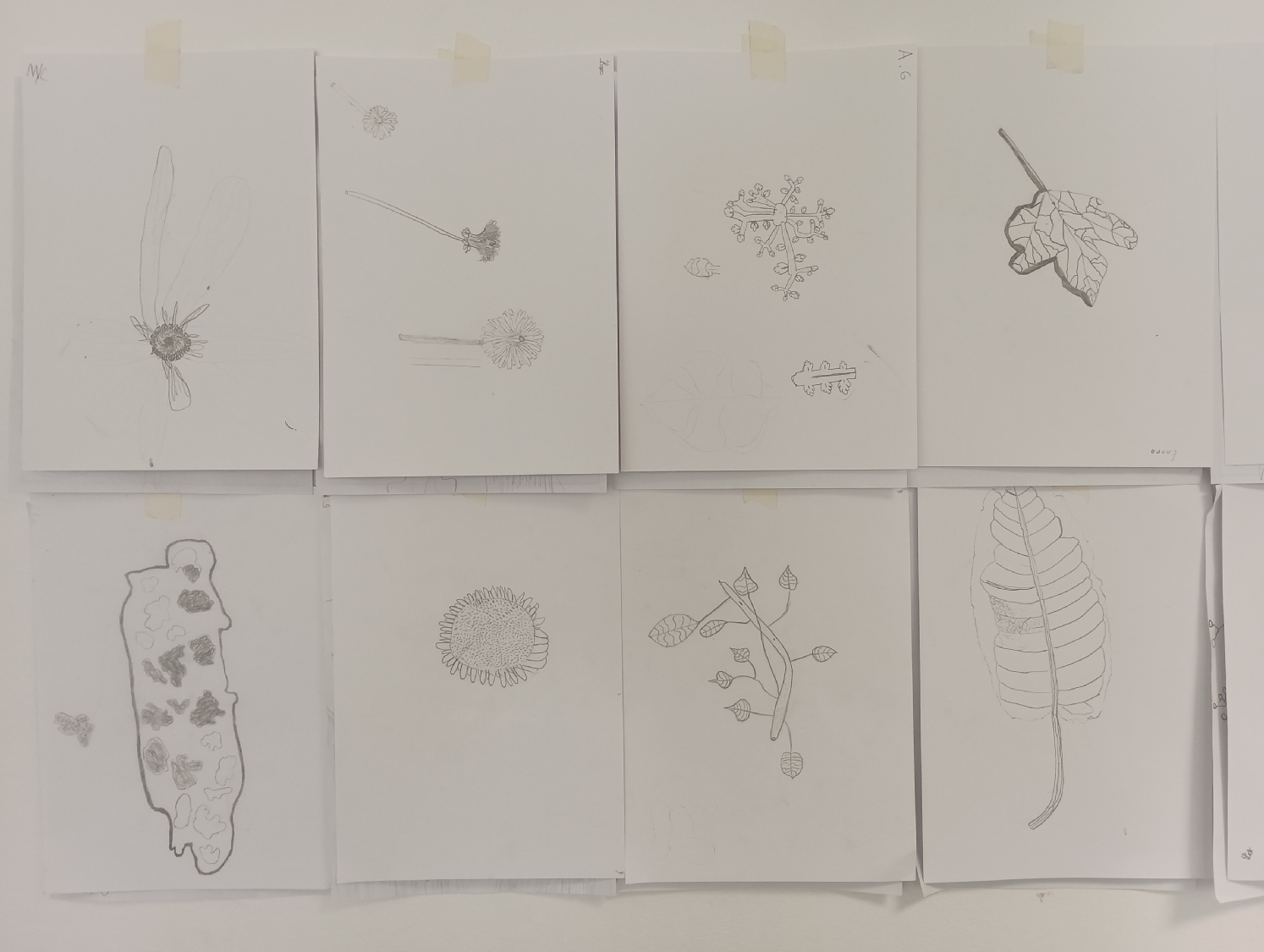 Rencontre avec Carlos Bernal Barrera