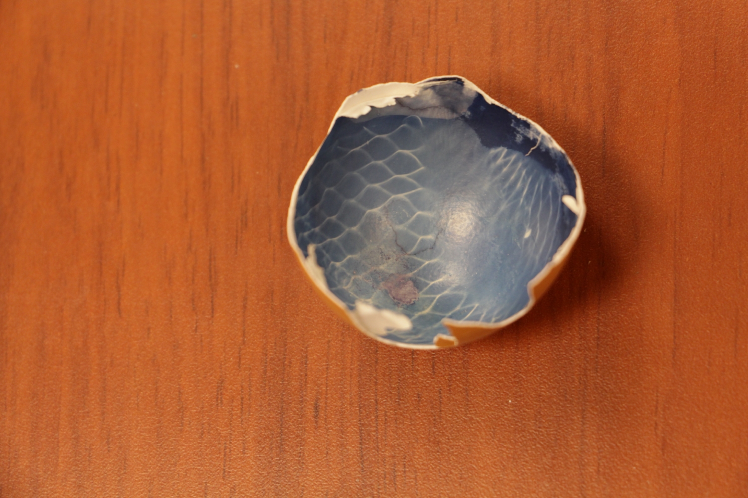 Atelier photo avec Mael Le Golvan