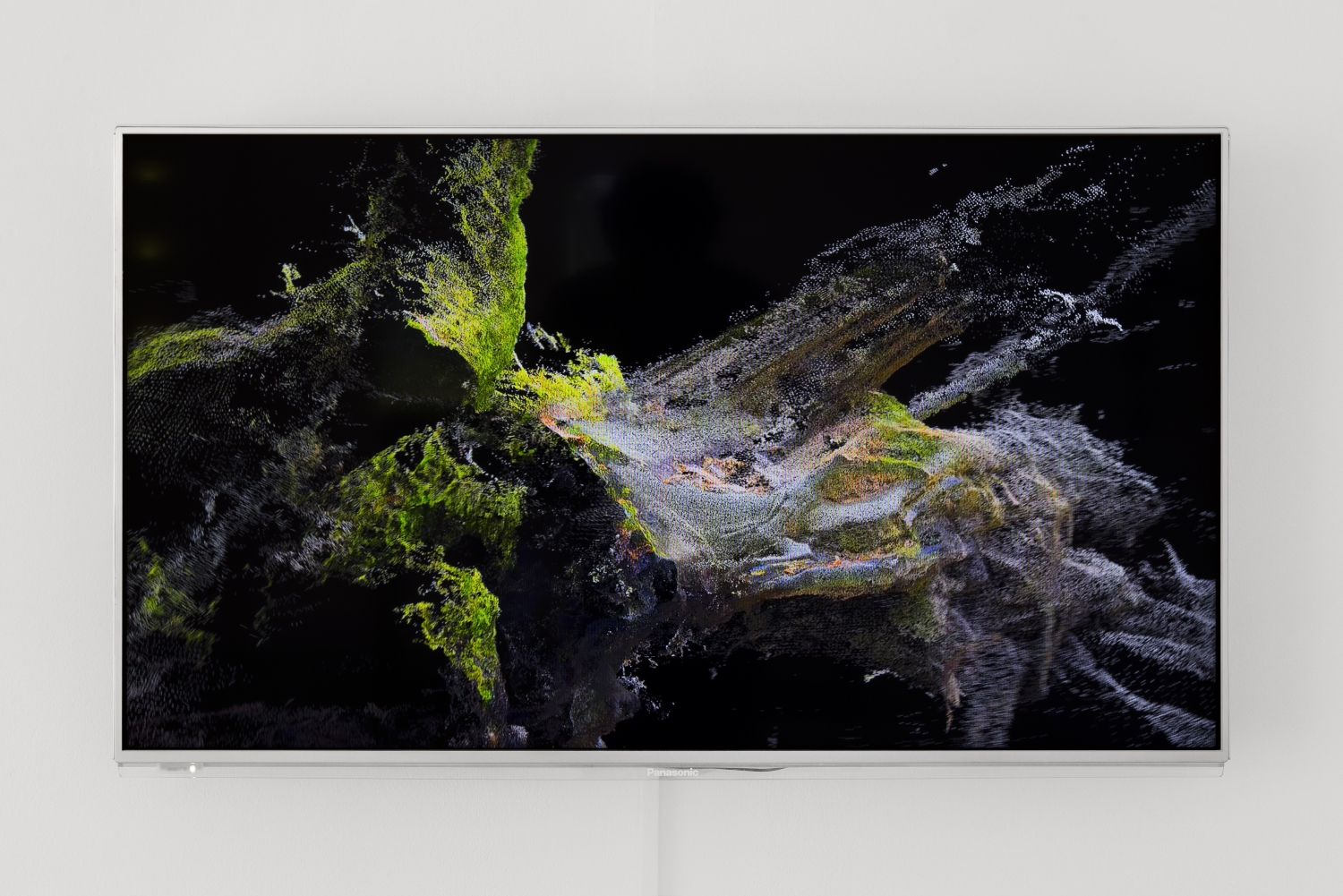 Vue de l'exposition Paul Duncombe, Microcosmes, 2017. Photo : Paul Duncombe