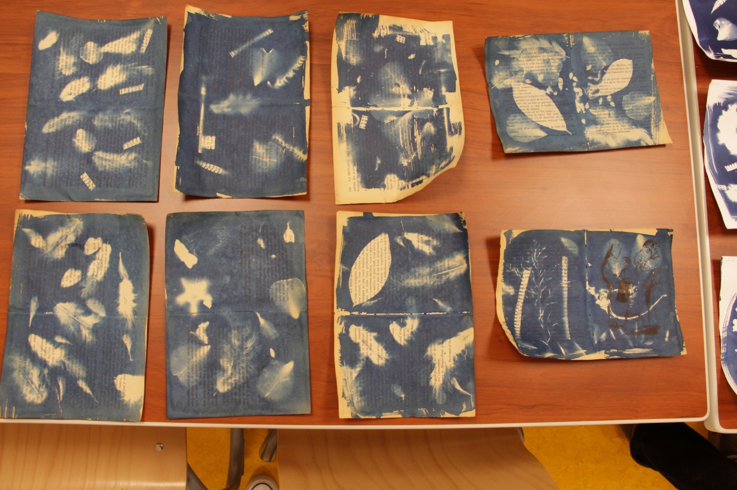 Atelier photo avec Mael Le Golvan