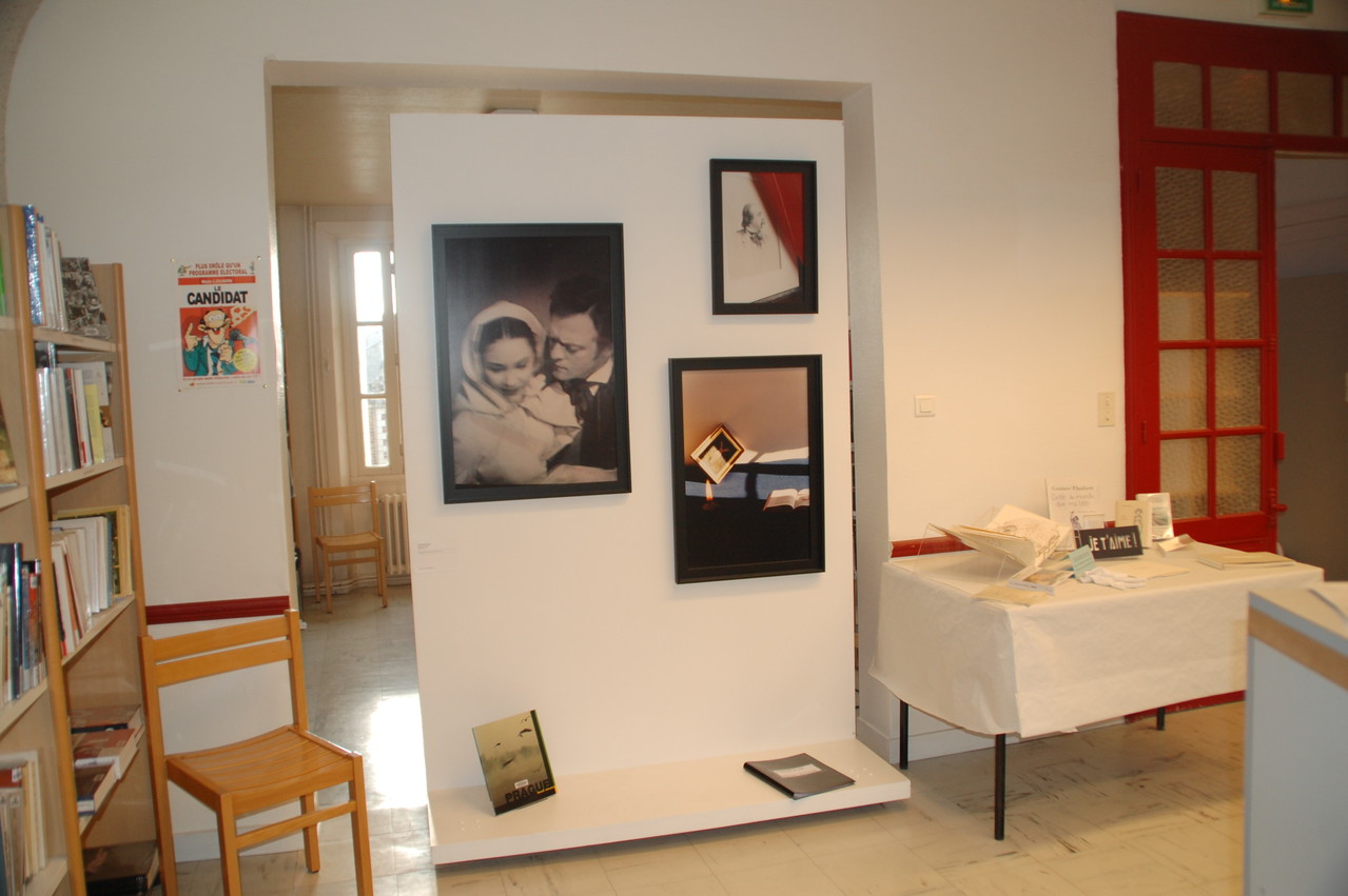 Vue d'exposition bibliothèque d'Iffendic - Madji Senadji, série Bovary, 1994/2002. Coll. FRAC Bretagne