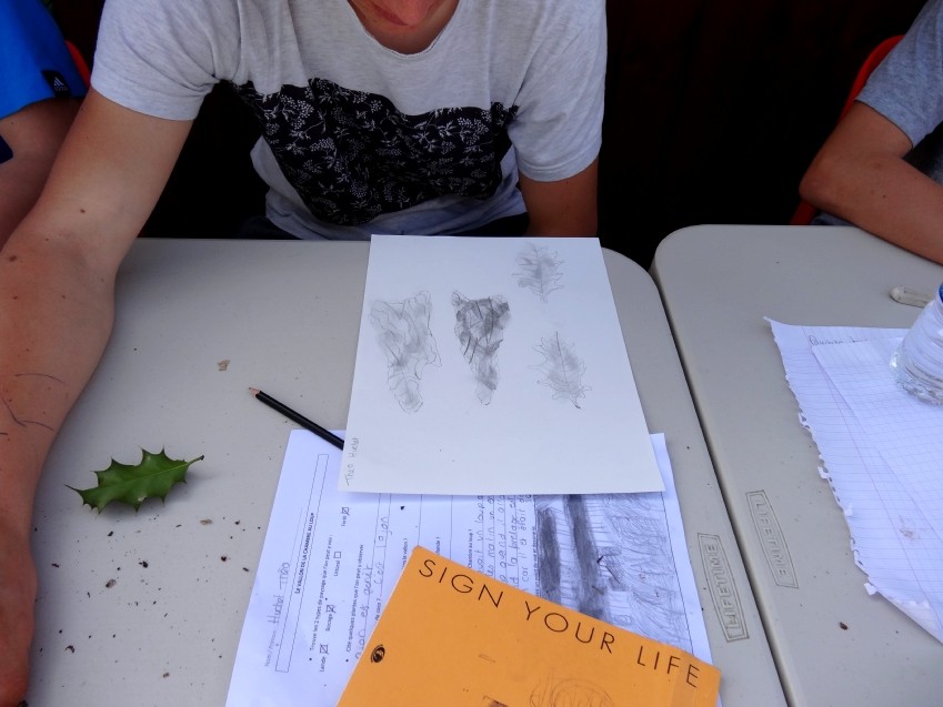 Dessin d'observation à partir des éléments végétaux et minéraux récoltés dans la nature